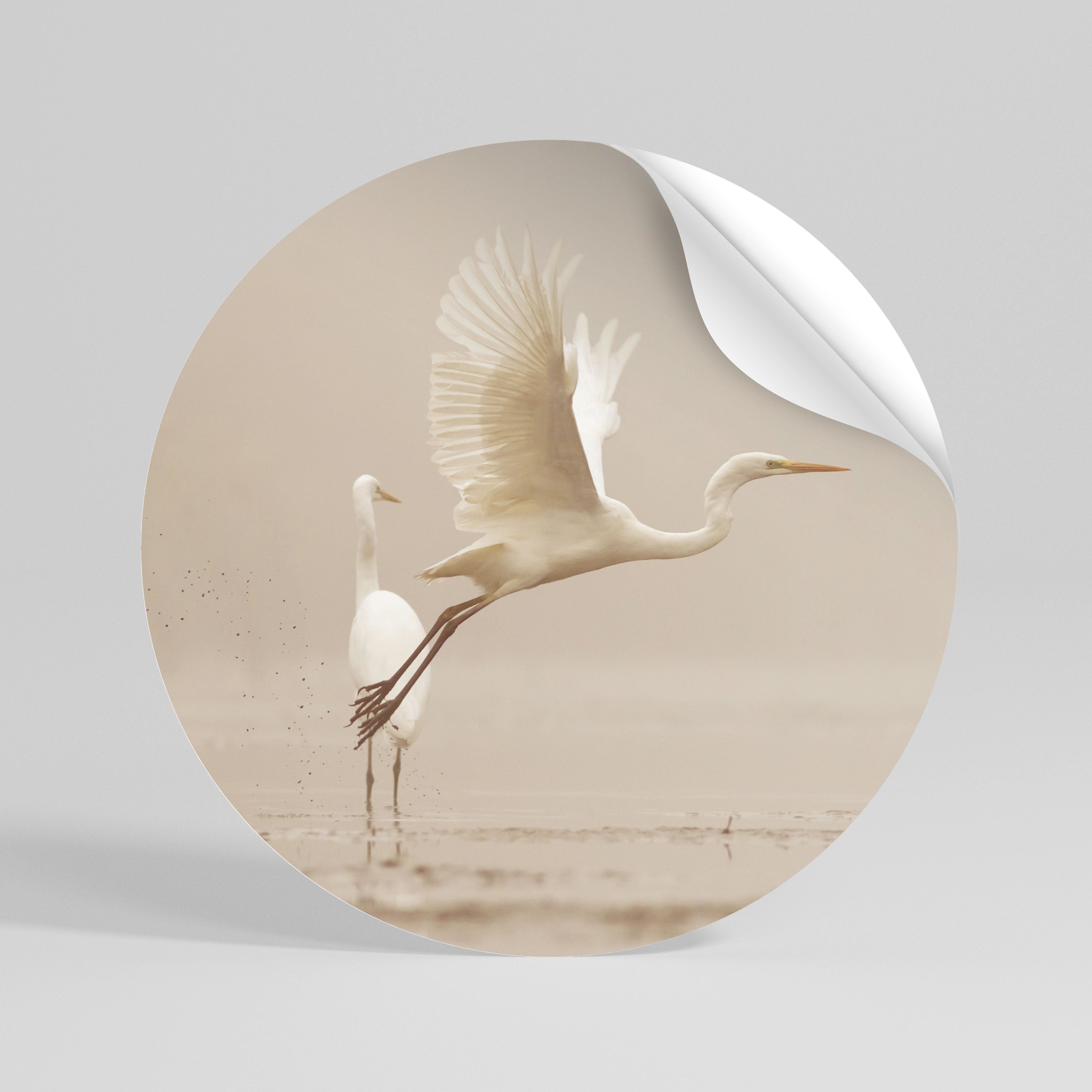 ELEGANT ASCENT Peel and Stick Round Sticker