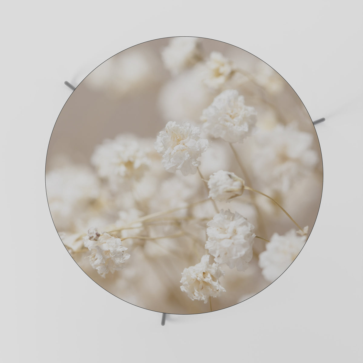 GHOSTLY BLOOM Coffee Table
