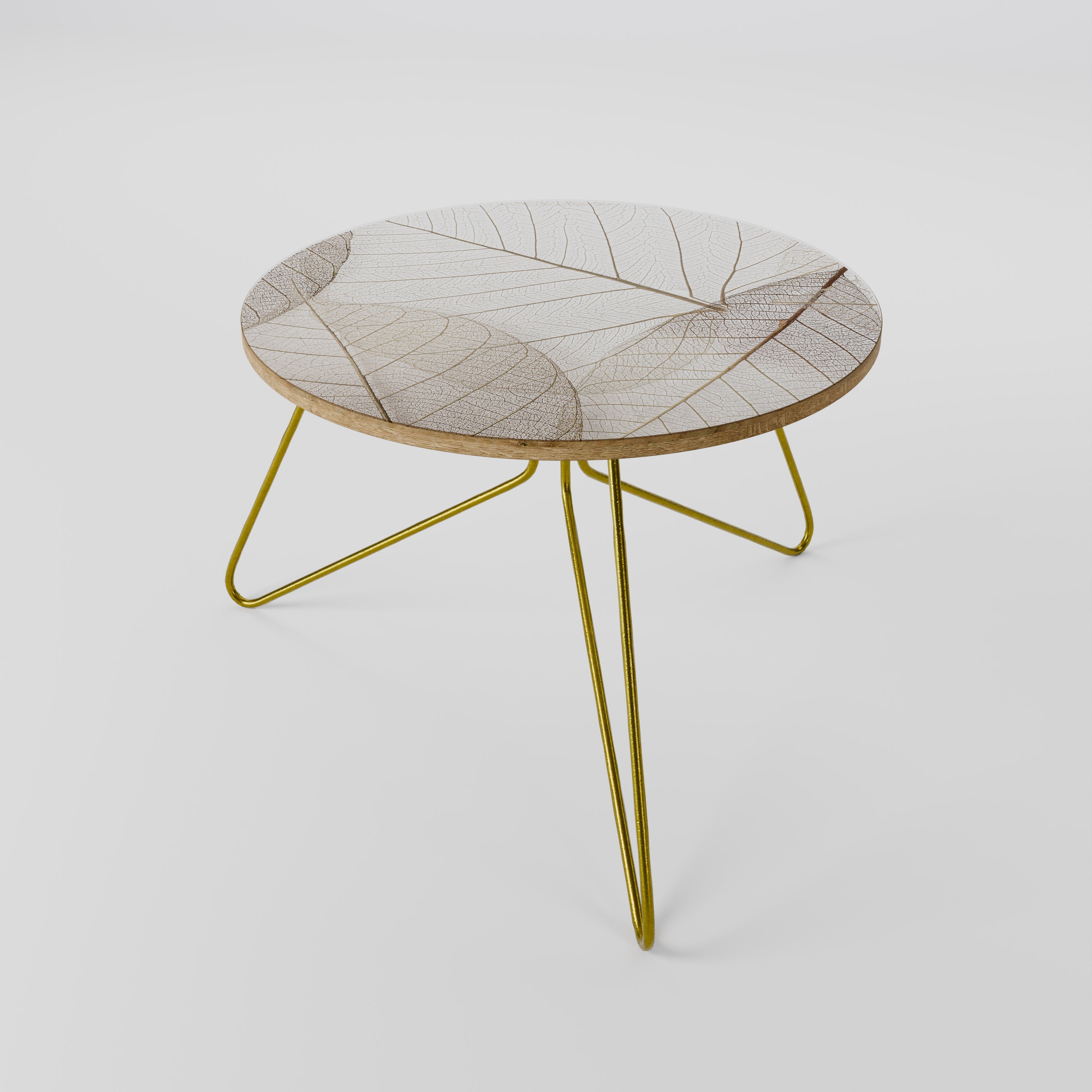 ETHEREAL VEINED GRACE Coffee Table 60