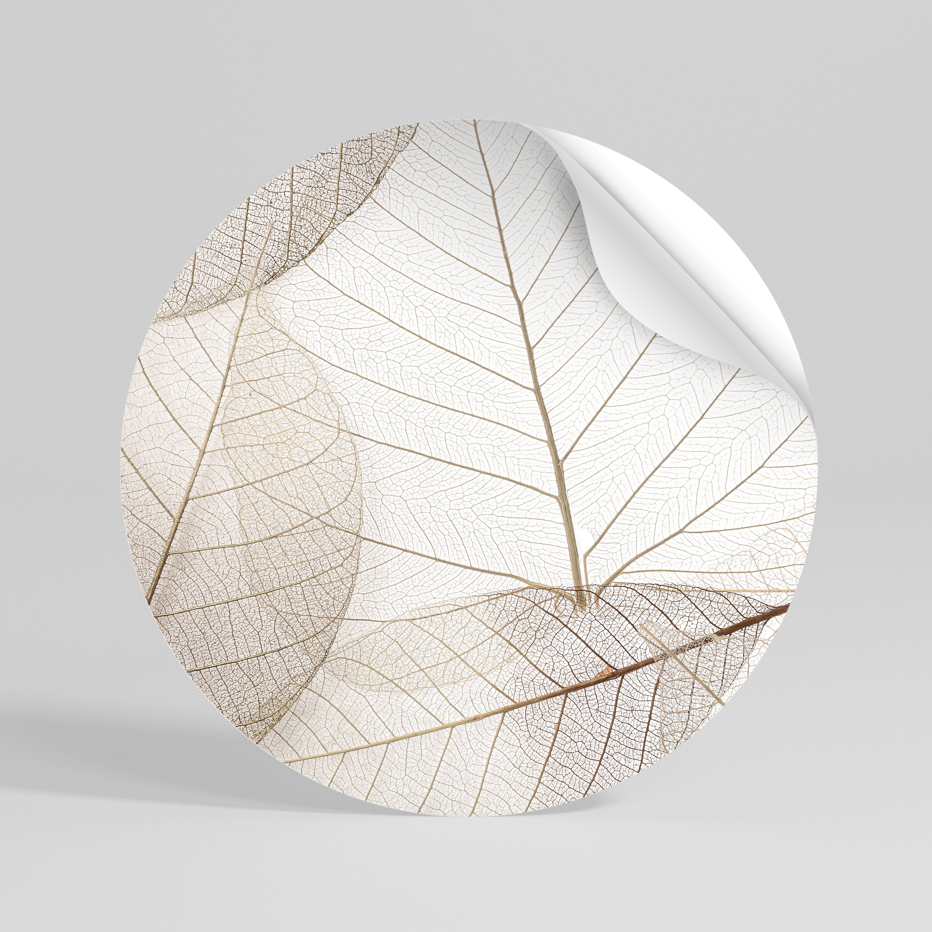 ETHEREAL VEINED GRACE Peel and Stick Round Sticker