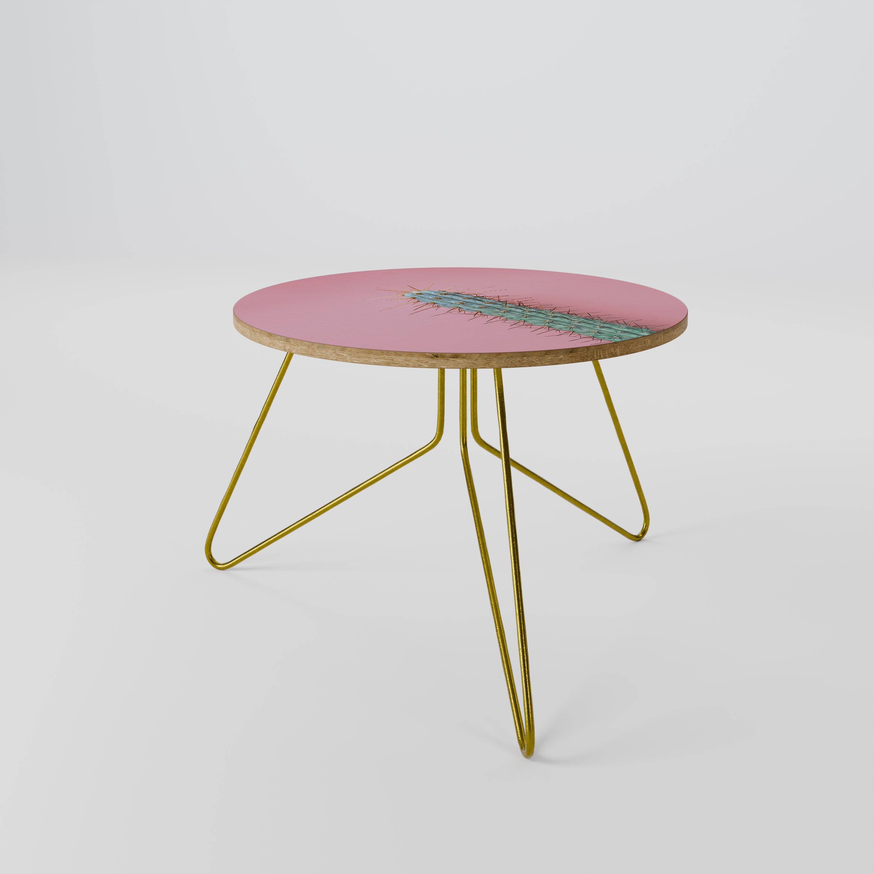 MISTER CACTUS Coffee Table 60