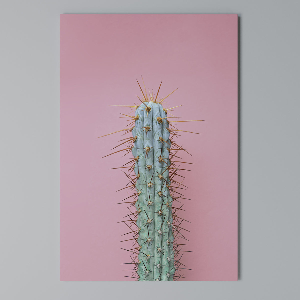 MISTER CACTUS Κατακόρυφος Πίνακας σε Καμβά