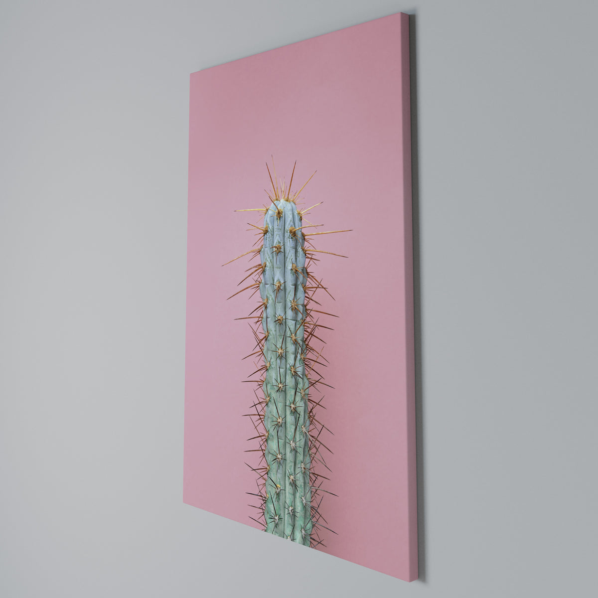 MISTER CACTUS Κατακόρυφος Πίνακας σε Καμβά