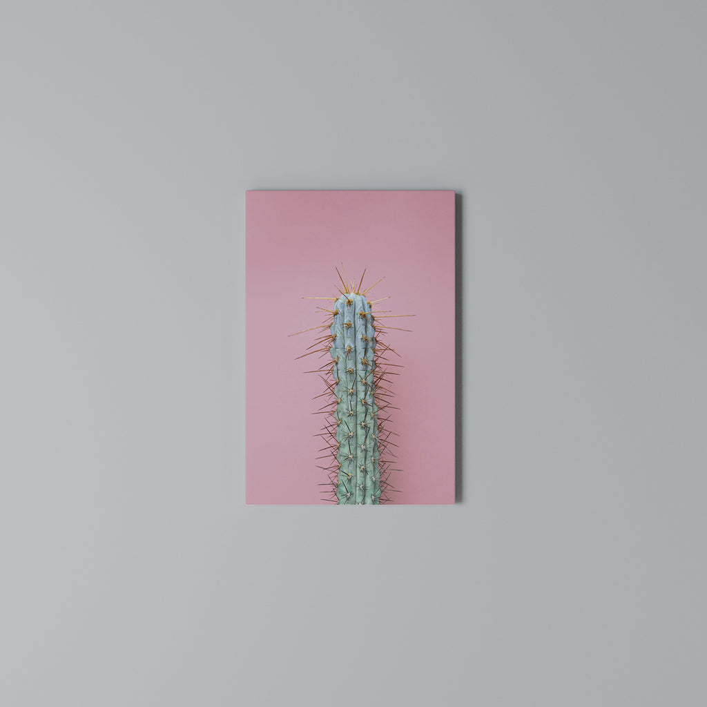 MISTER CACTUS Κατακόρυφος Πίνακας σε Καμβά