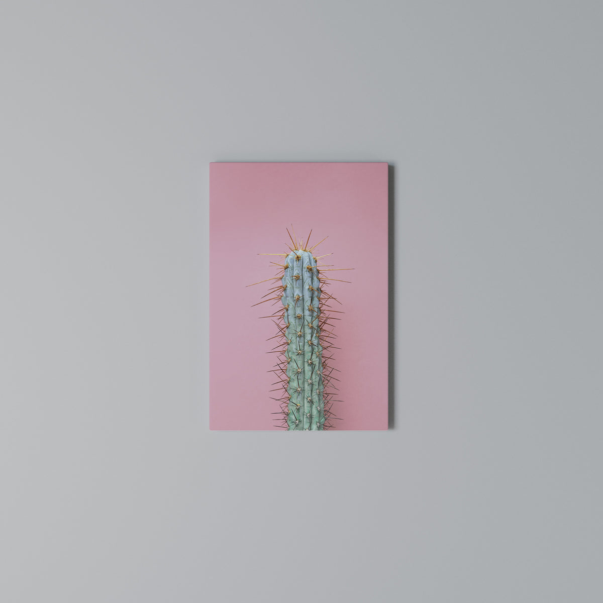 MISTER CACTUS Κατακόρυφος Πίνακας σε Καμβά