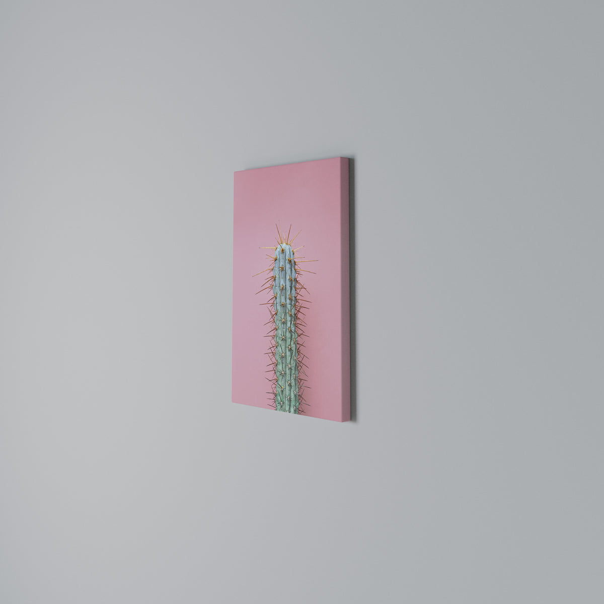 MISTER CACTUS Κατακόρυφος Πίνακας σε Καμβά
