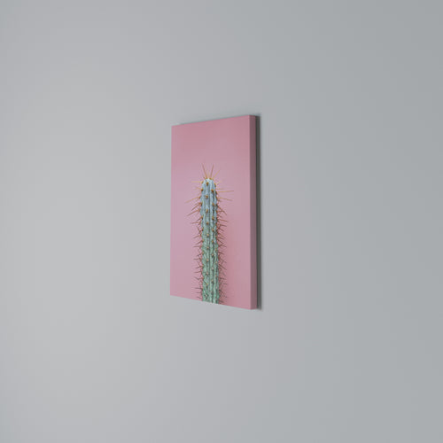 MISTER CACTUS Κατακόρυφος Πίνακας σε Καμβά