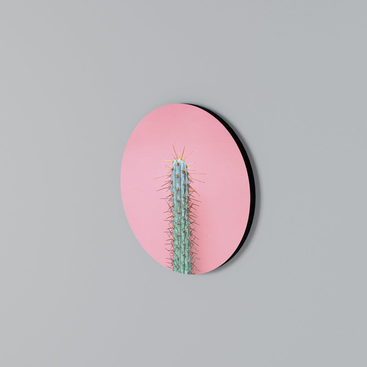 MISTER CACTUS Στρογγυλός πίνακας ζωγραφικής