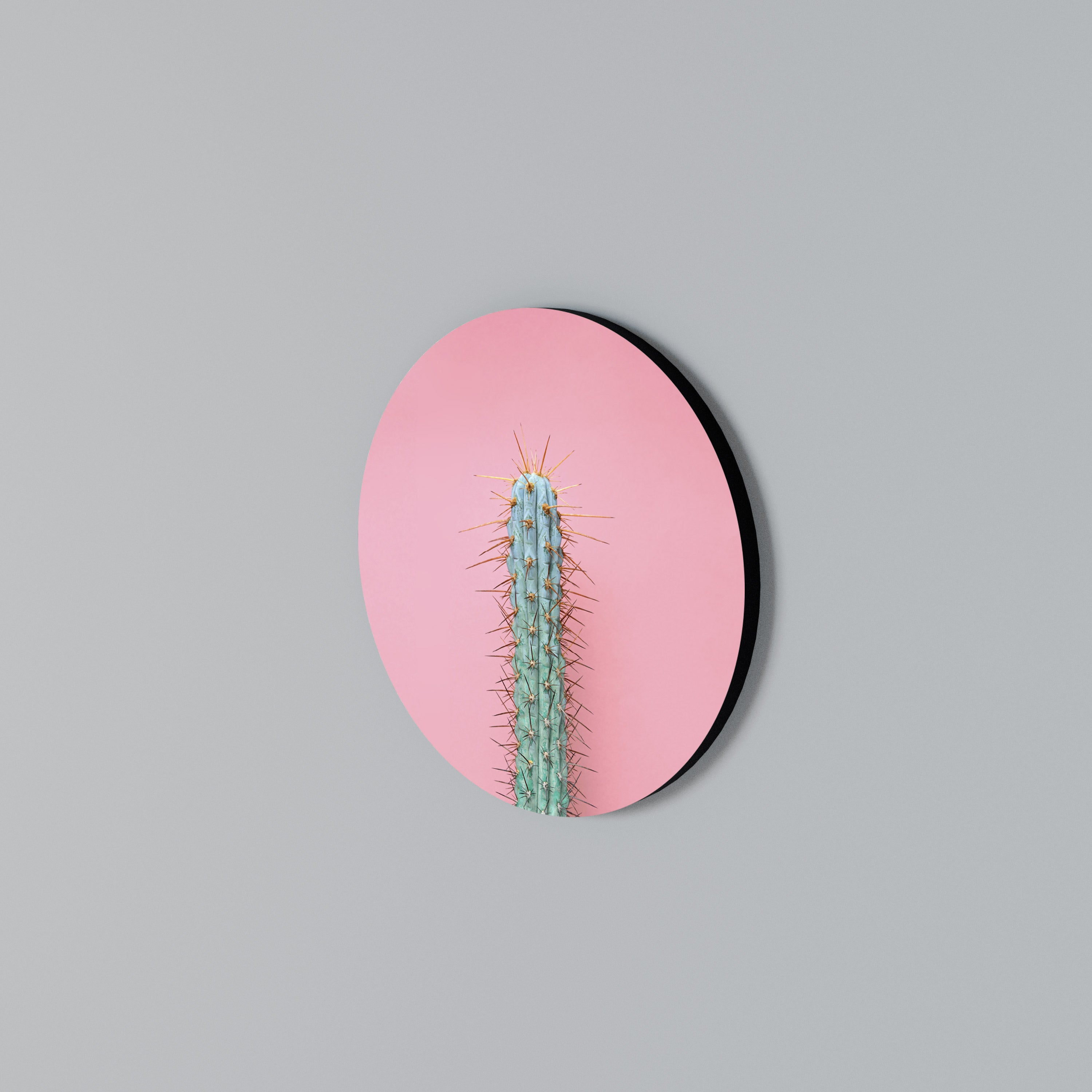 MISTER CACTUS Στρογγυλός πίνακας ζωγραφικής