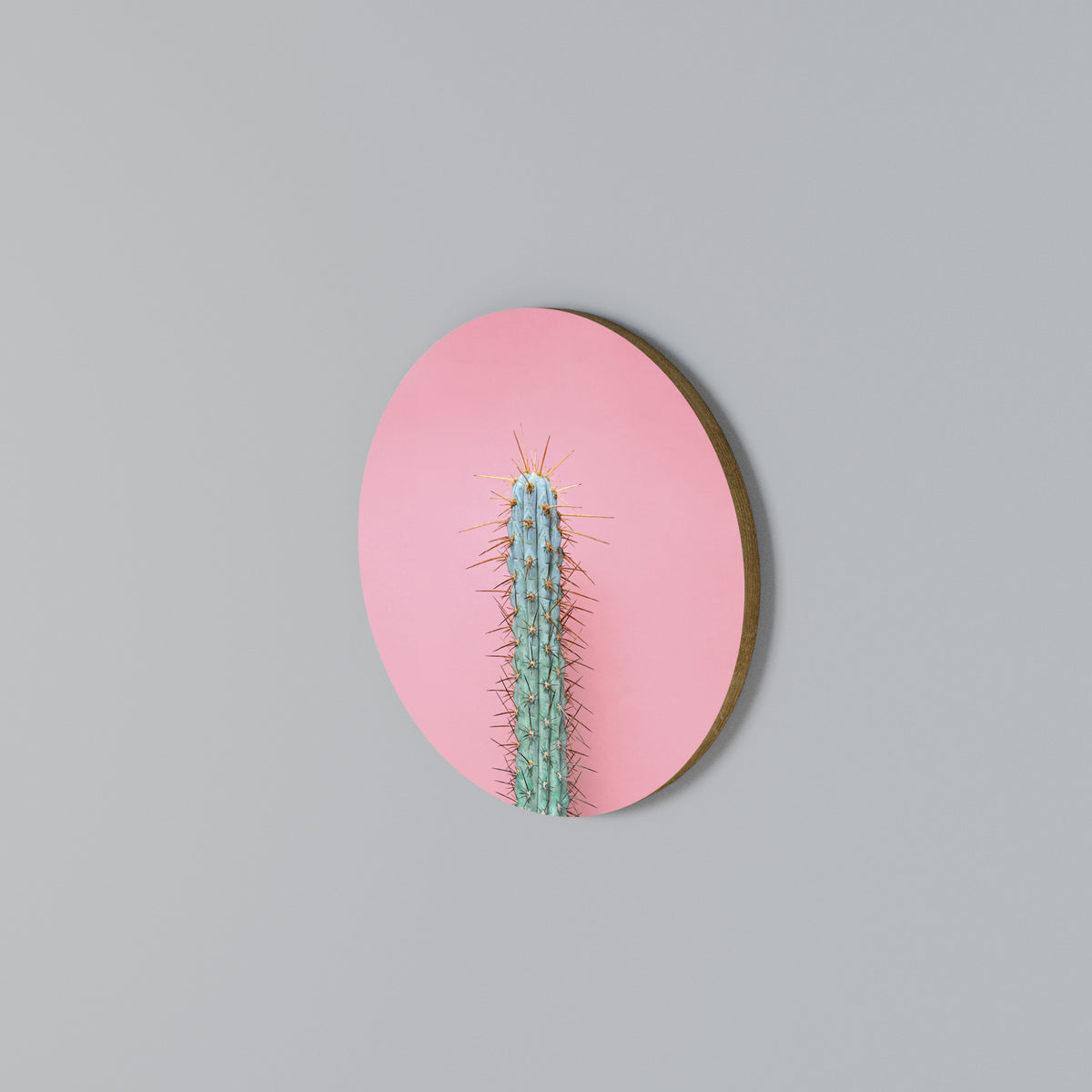 MISTER CACTUS Στρογγυλός πίνακας ζωγραφικής