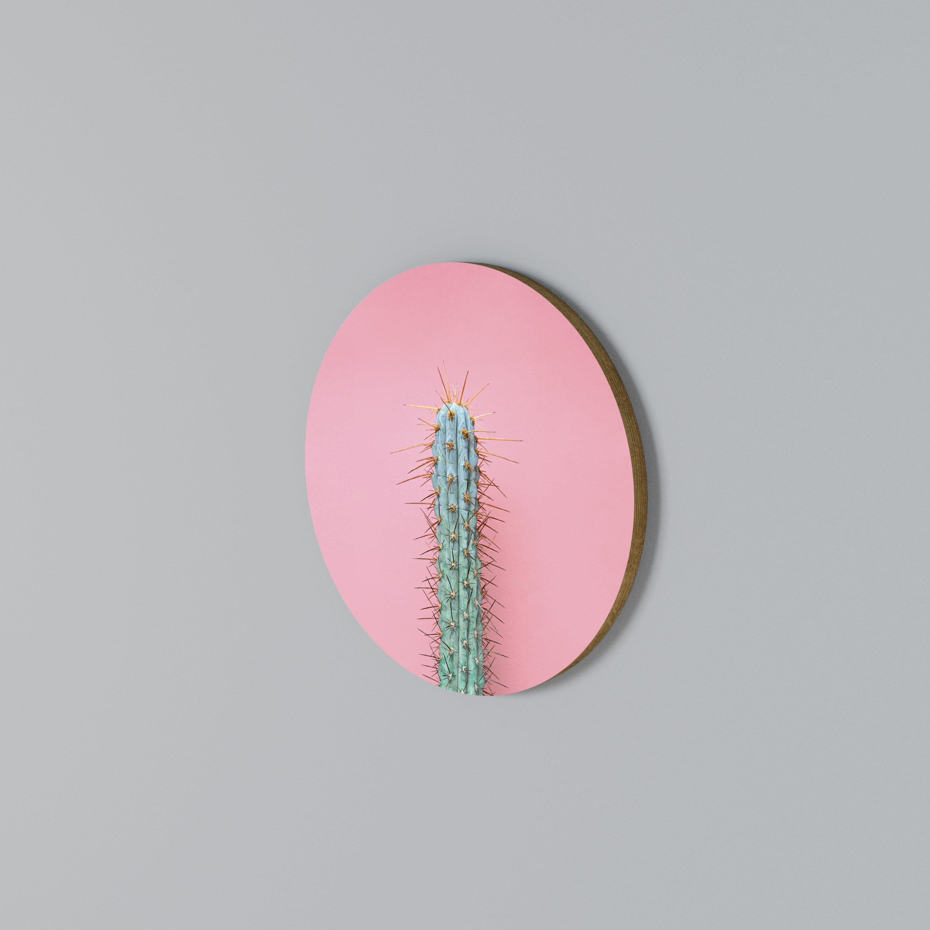 MISTER CACTUS Στρογγυλός πίνακας ζωγραφικής