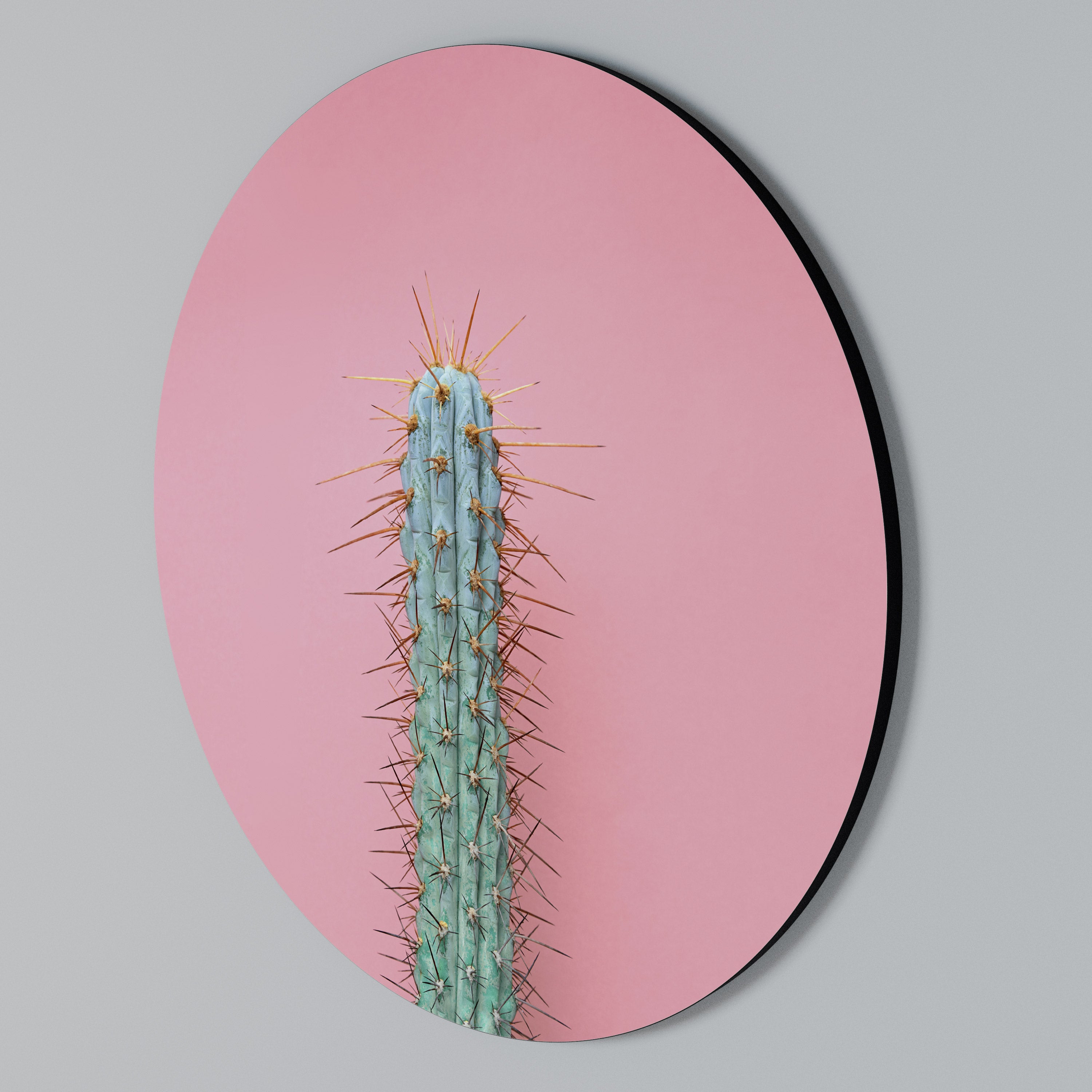 MISTER CACTUS Στρογγυλός πίνακας ζωγραφικής