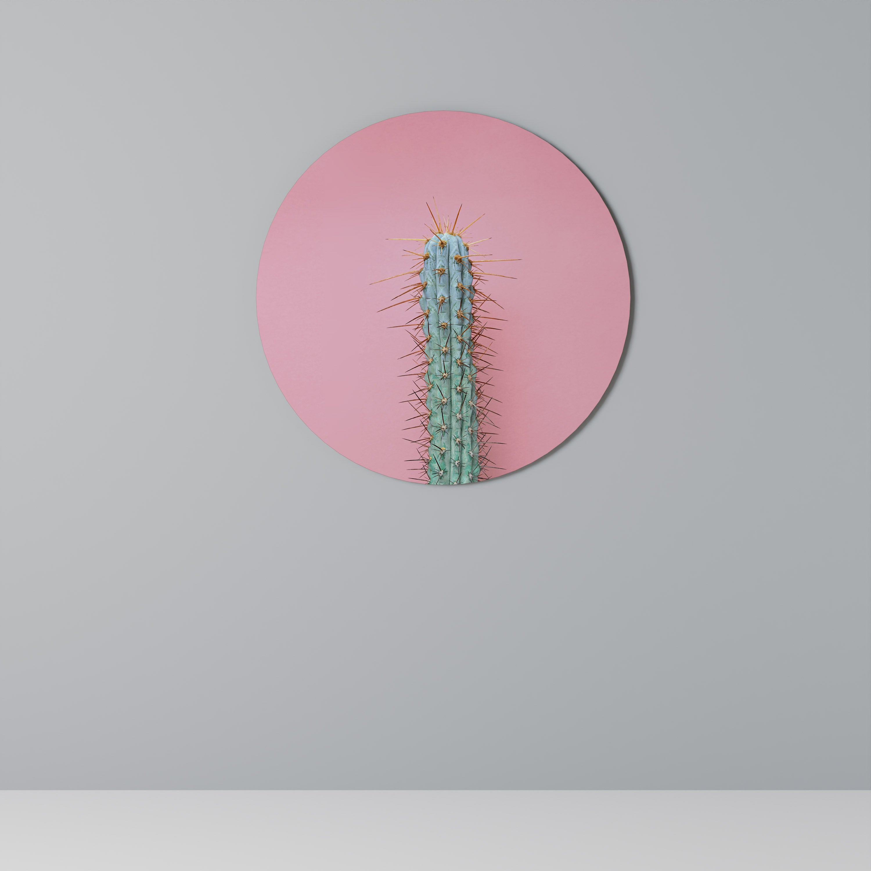 Στρογγυλή Τέχνη Τοίχου MISTER CACTUS