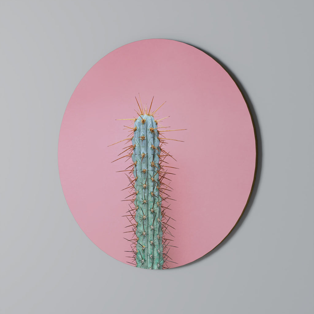 Στρογγυλή Τέχνη Τοίχου MISTER CACTUS