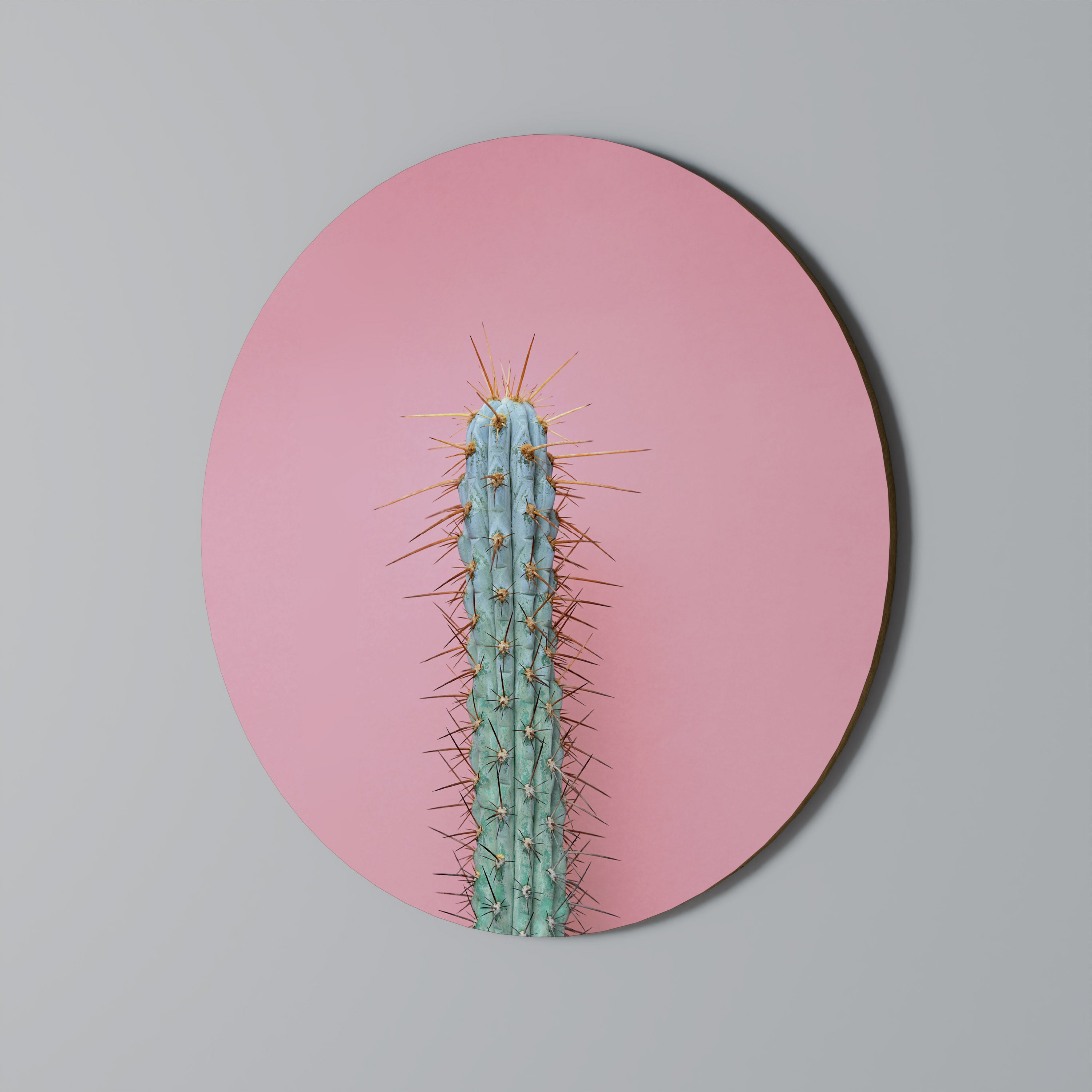 Στρογγυλή Τέχνη Τοίχου MISTER CACTUS