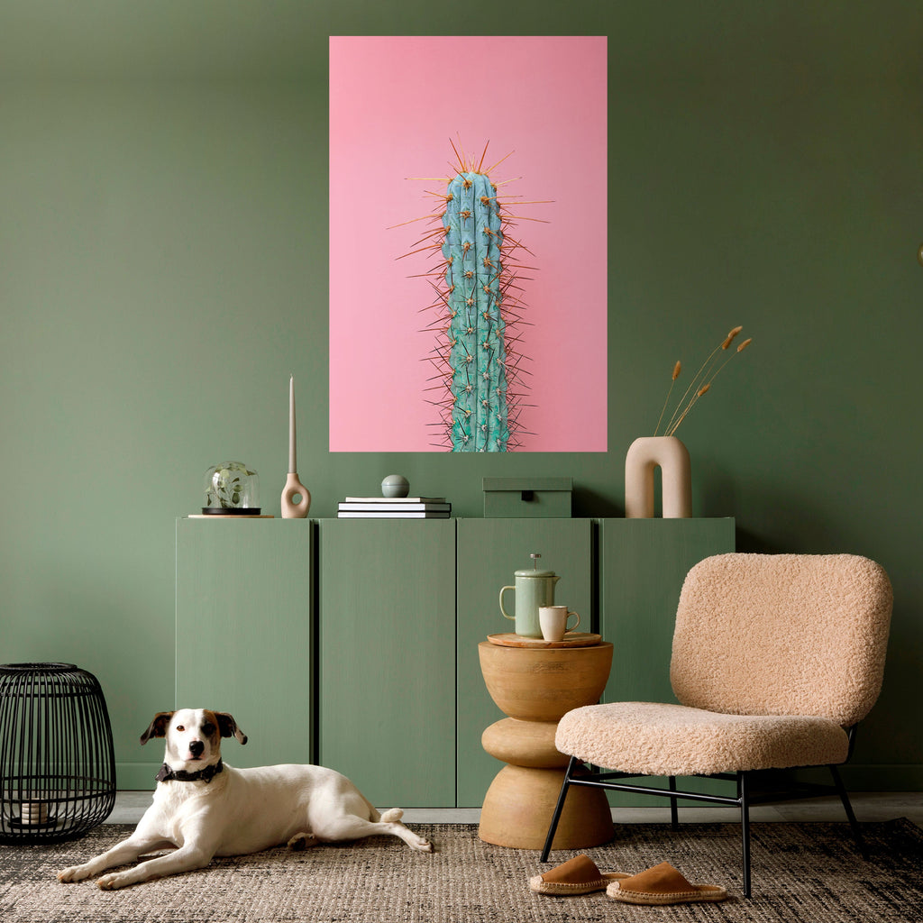 Αφίσα MISTER CACTUS με κόλλα και κολλήματα