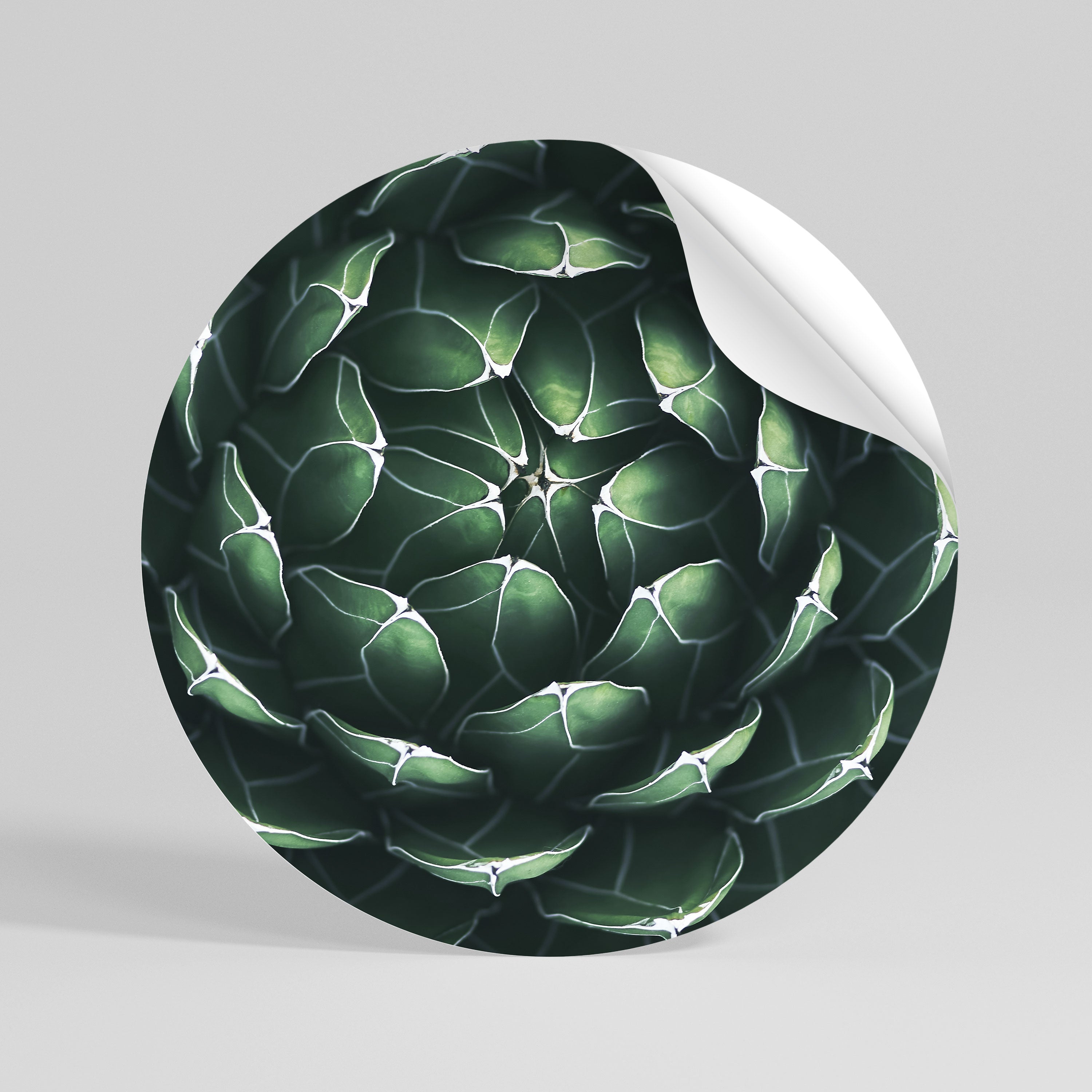 LUSH LABYRINTH Αυτοκόλλητη "Peel and Stick" Αφίσα στρογγυλή