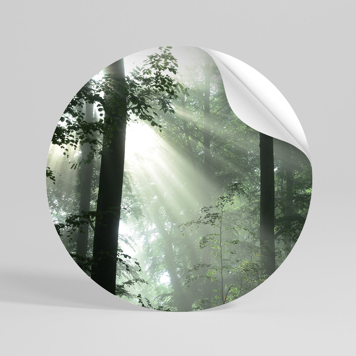 MYSTICAL SUNBEAMS Αυτοκόλλητη Αφίσα στρογγυλή