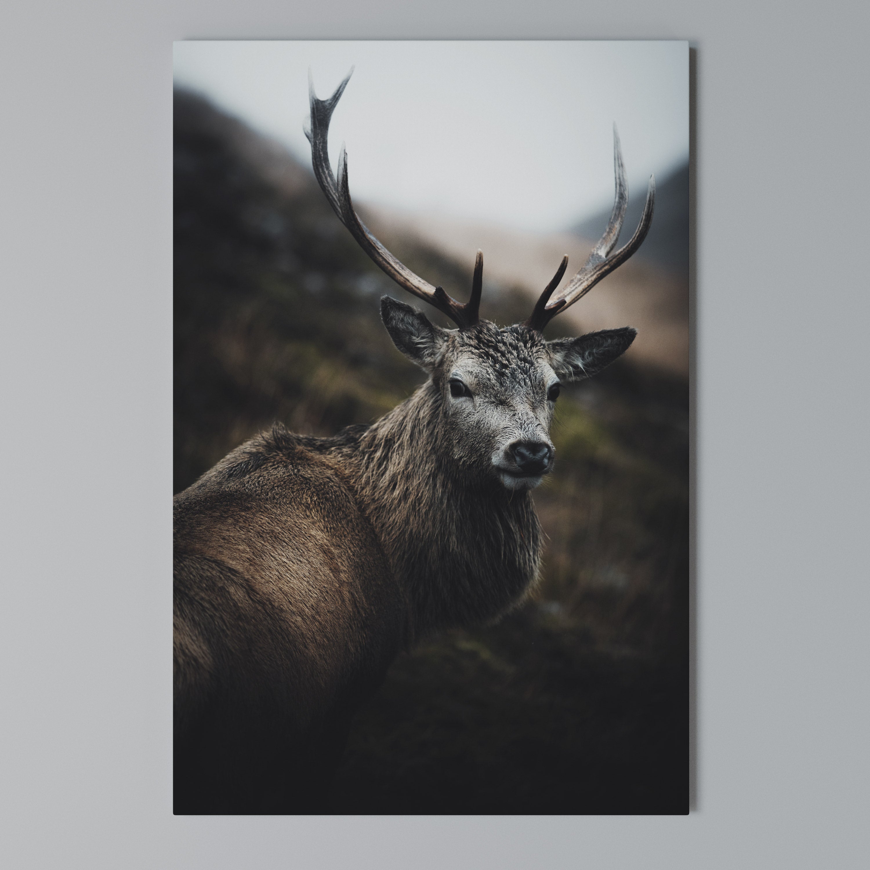 ELEGANT WILDERNESS GUARDIAN Vertical Canvas Print