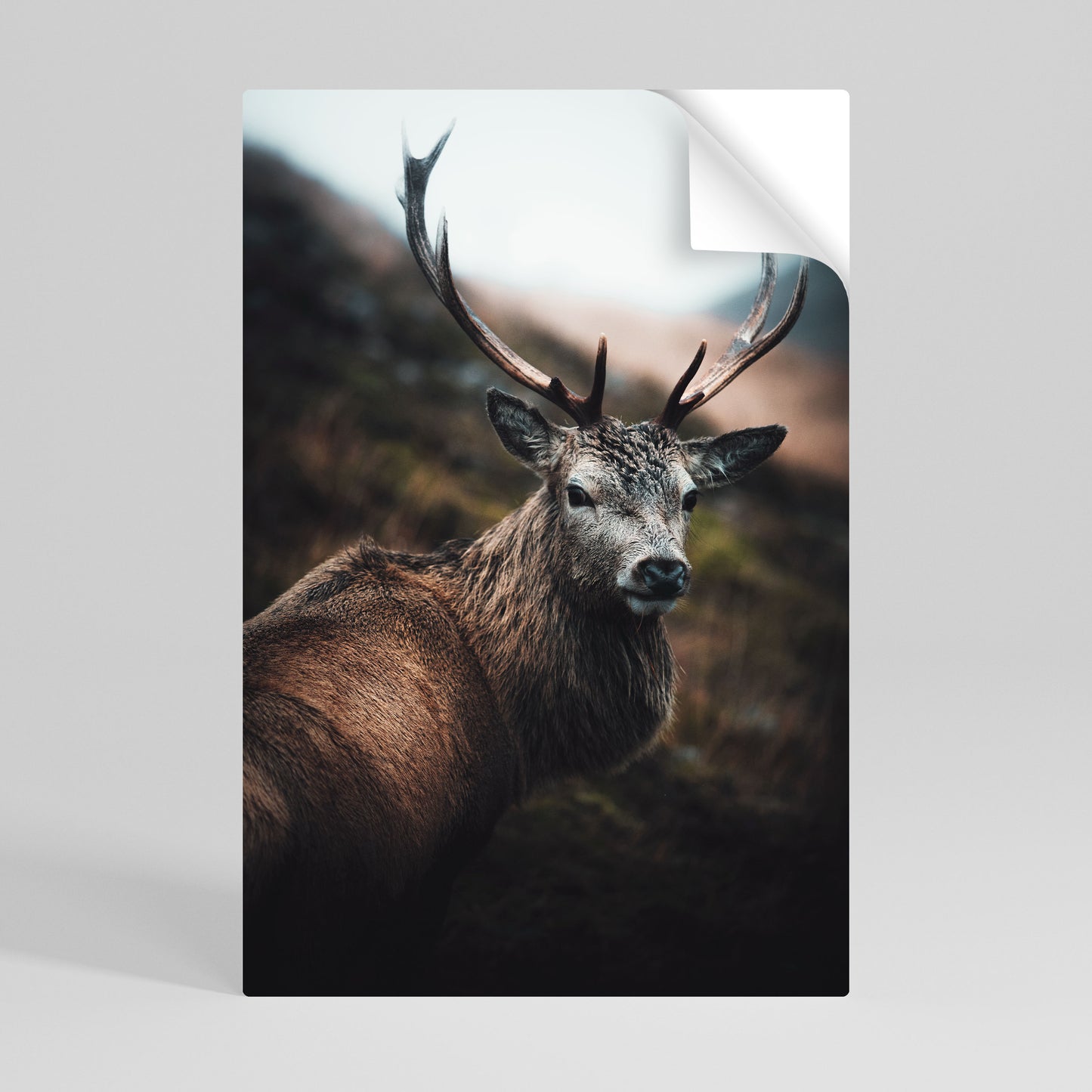 ELEGANT WILDERNESS GUARDIAN Αυτοκόλλητη Αφίσα κάθετη