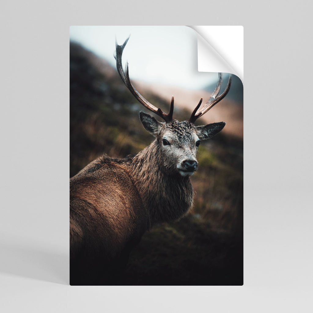 Κομψή αφίσα με κολλητική ταινία και κόλλα ELEGANT WILDERNESS GUARDIAN