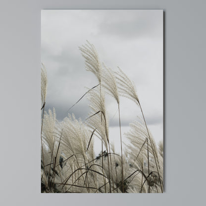 CLOUDS ABOVE GRASS Κατακόρυφος Πίνακας σε Καμβά