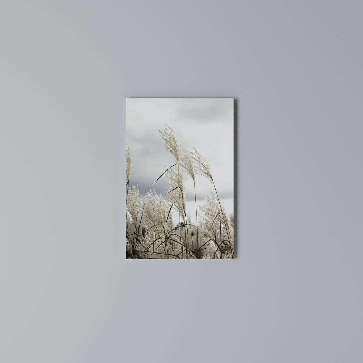 CLOUDS ABOVE GRASS Κατακόρυφος Πίνακας σε Καμβά