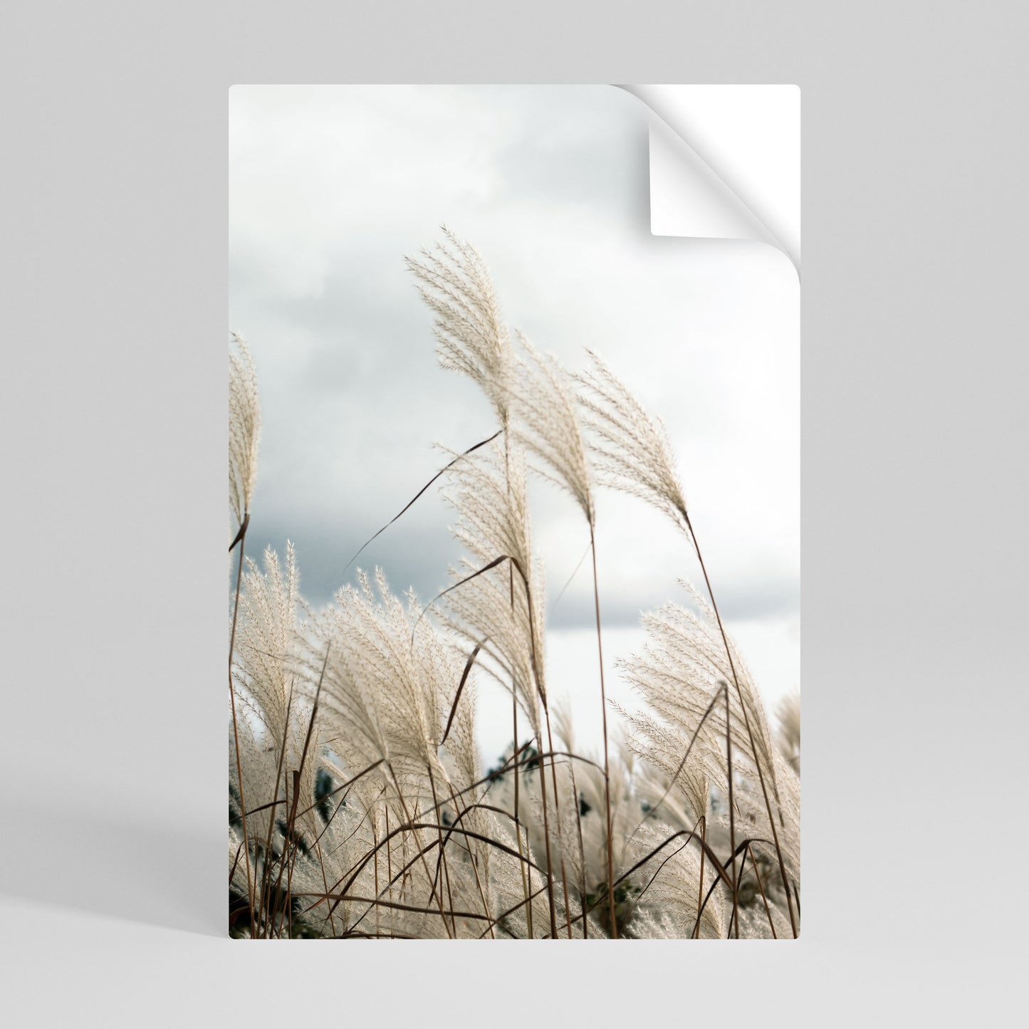 CLOUDS ABOVE GRASS Αυτοκόλλητη Αφίσα κάθετη