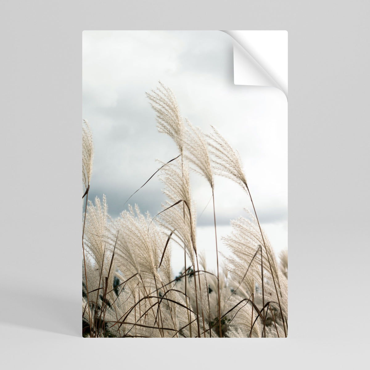 CLOUDS ABOVE GRASS Αυτοκόλλητη Αφίσα κάθετη