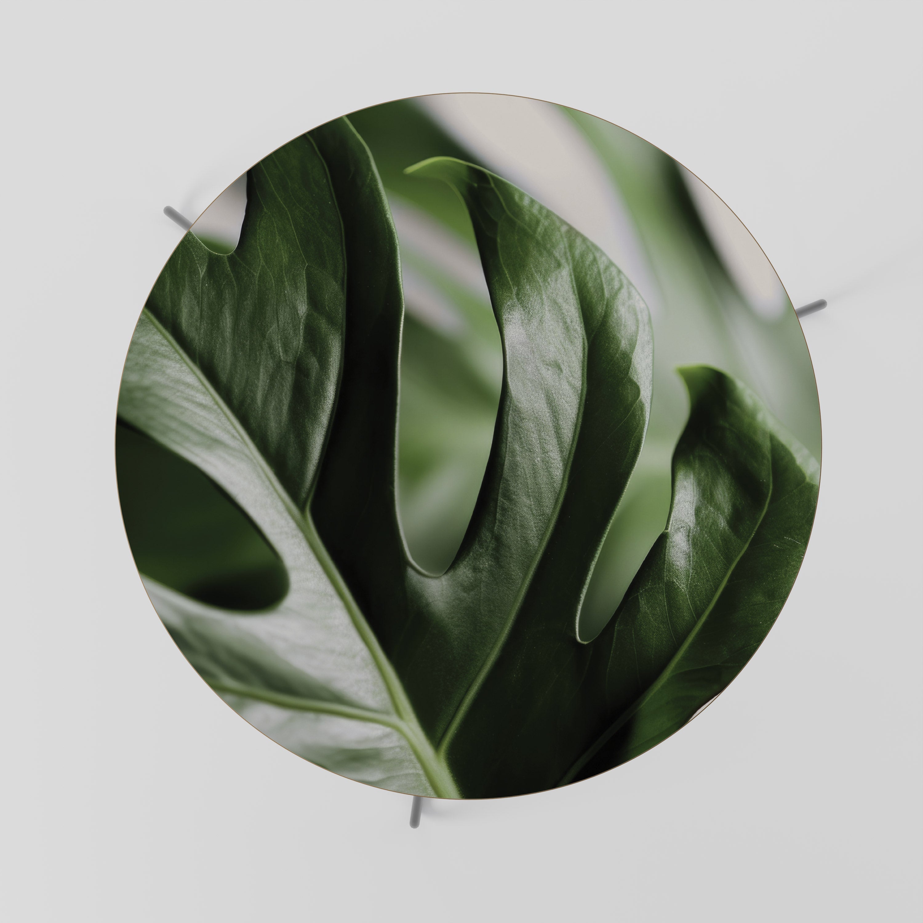 SHARP MONSTERA Coffee Table 69