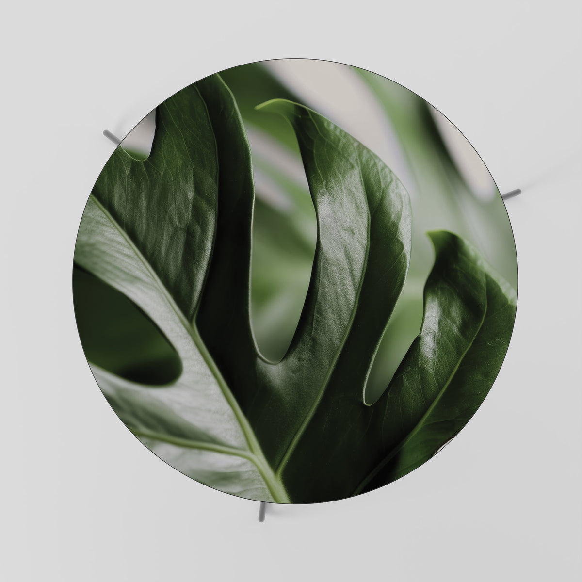 SHARP MONSTERA Τραπεζάκι σαλονιού