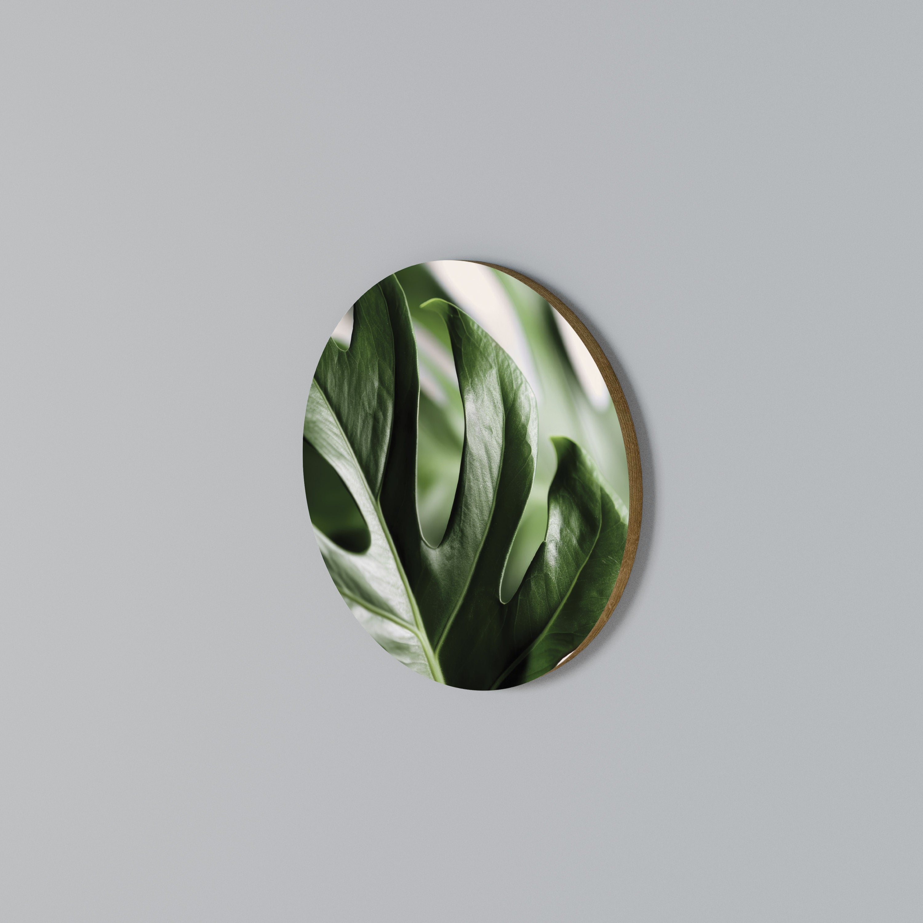 SHARP MONSTERA Στρογγυλός πίνακας ζωγραφικής