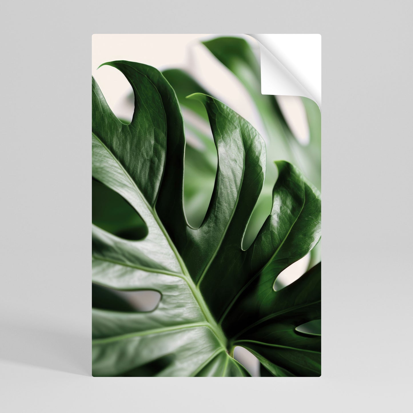 SHARP MONSTERA Αυτοκόλλητη Αφίσα κάθετη