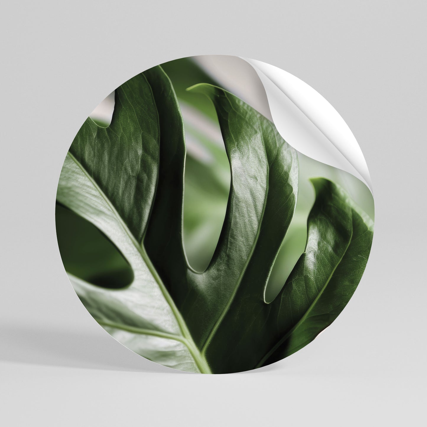 SHARP MONSTERA Αυτοκόλλητη Αφίσα στρογγυλή