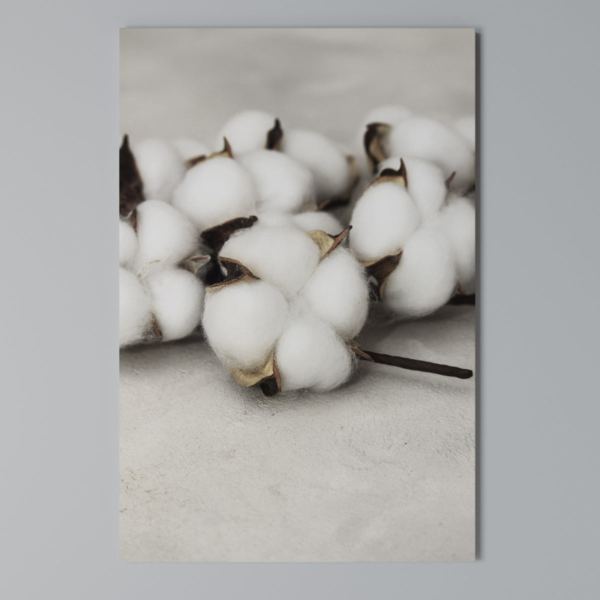 COTTON CLOUDS WHISPERS Κατακόρυφος Πίνακας σε Καμβά