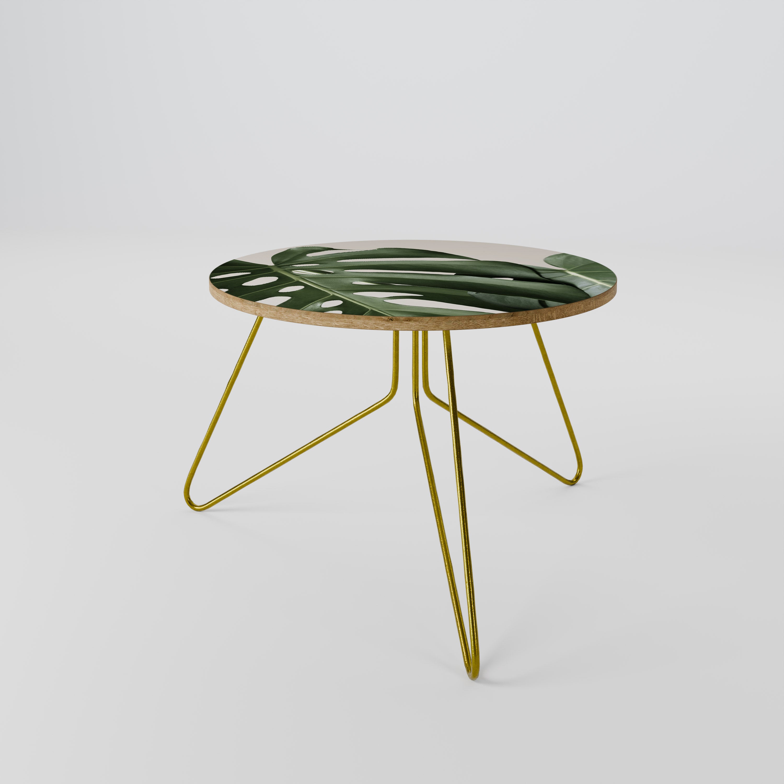 MONSTERA ACCURACY Coffee Table