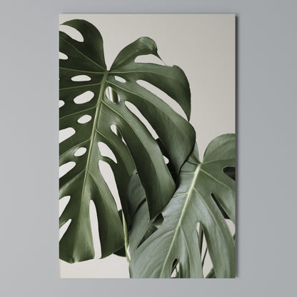 MONSTERA ACCURACY Κατακόρυφος Πίνακας σε Καμβά