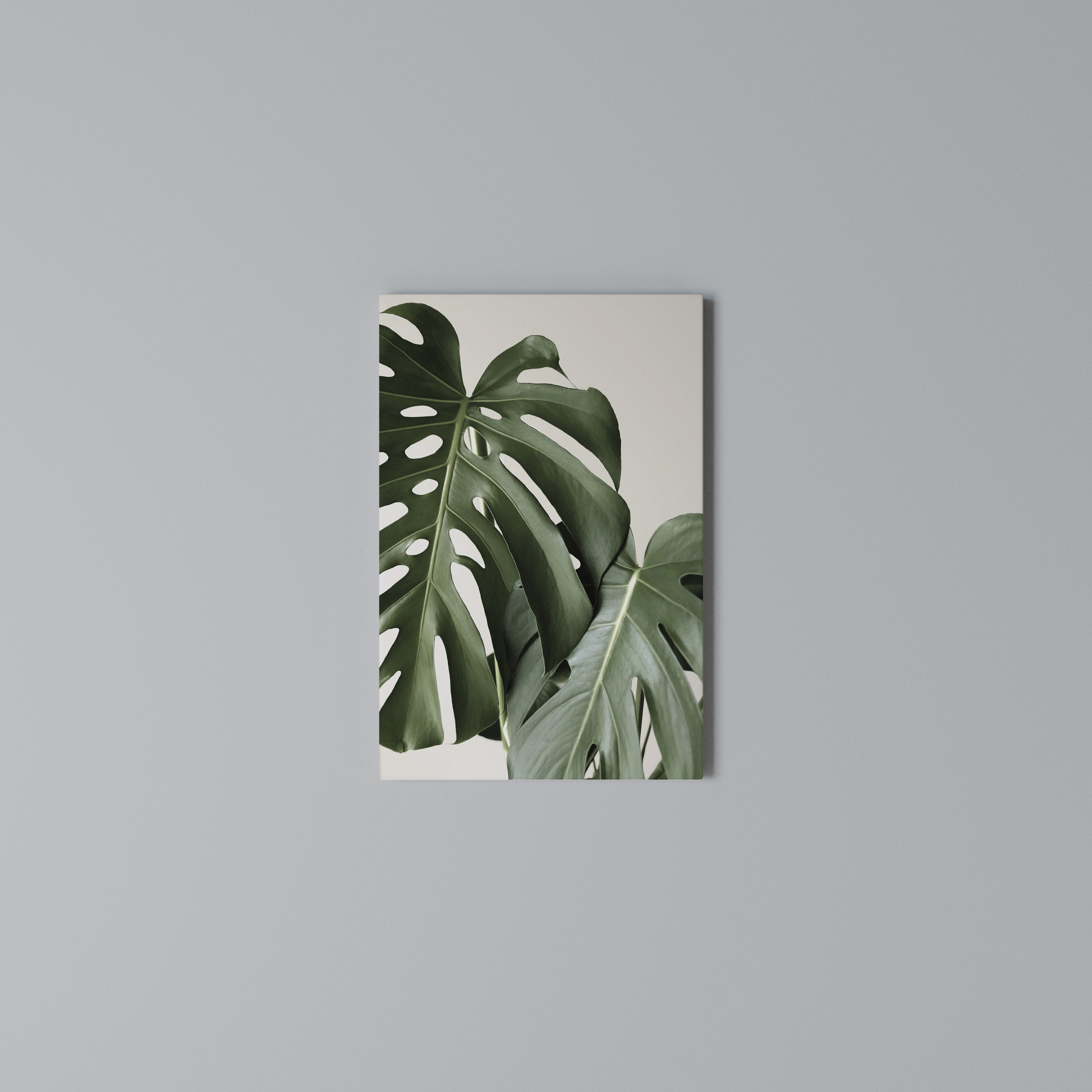 MONSTERA ACCURACY Κατακόρυφος Πίνακας σε Καμβά