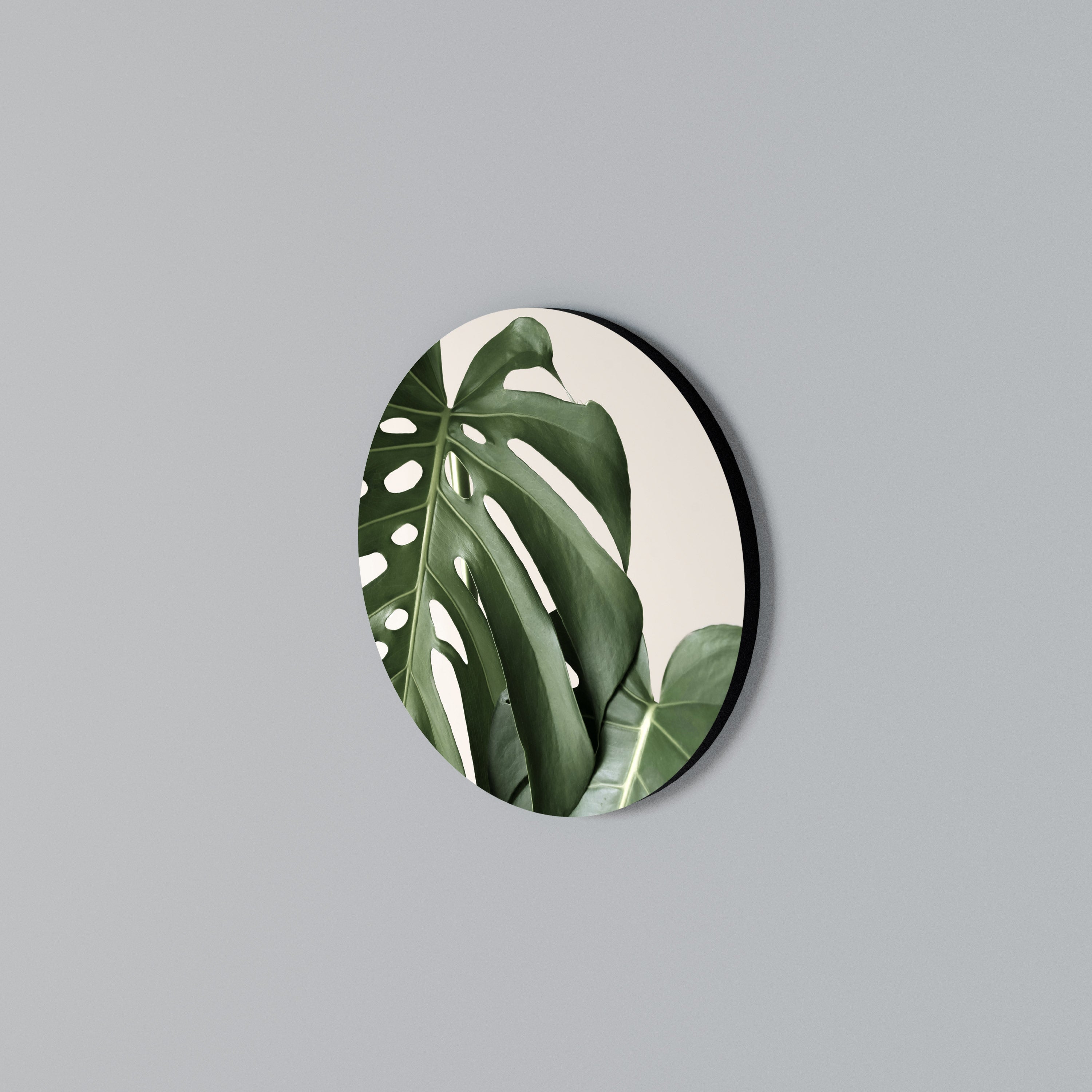 MONSTERA ACCURACY Στρογγυλός πίνακας ζωγραφικής