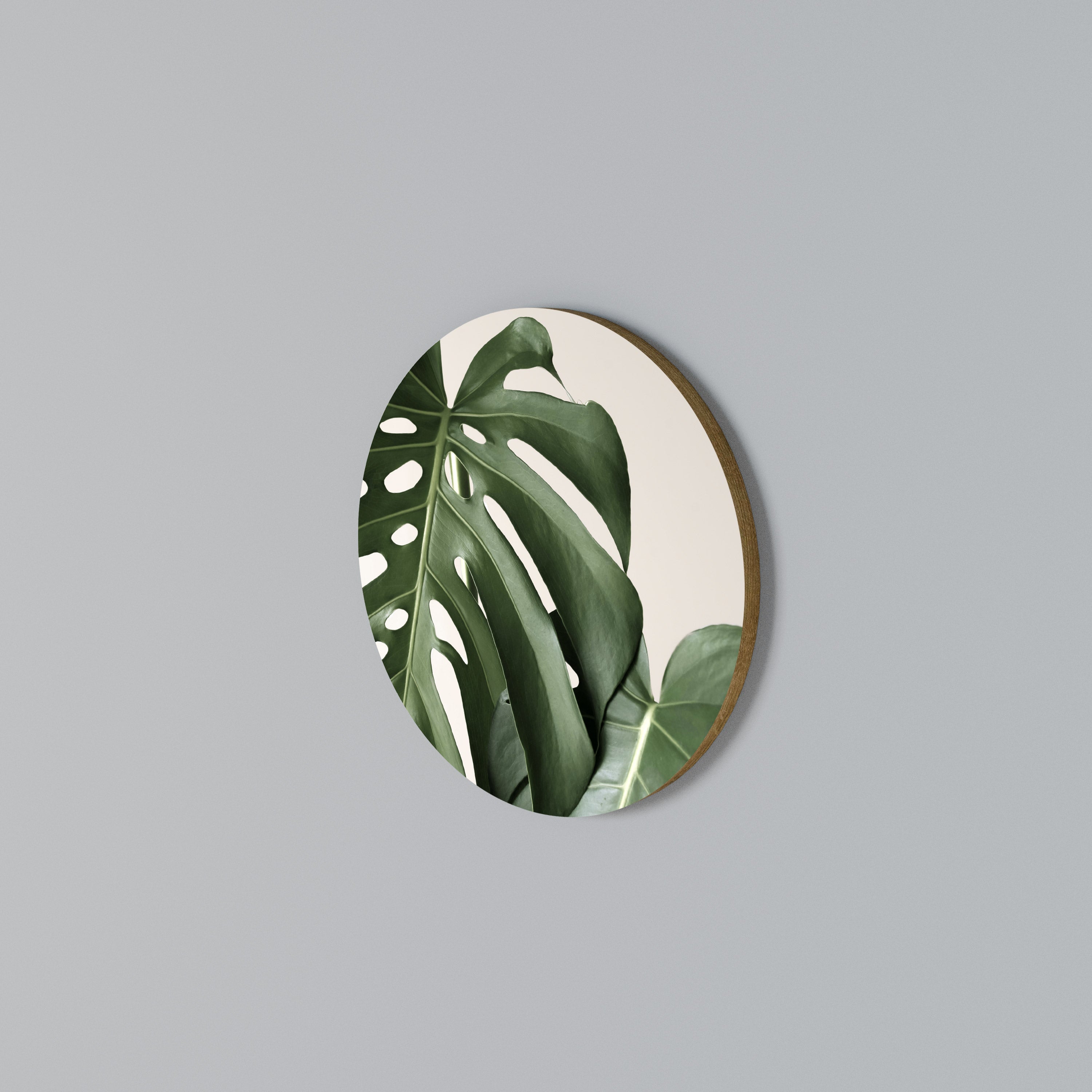 MONSTERA ACCURACY Στρογγυλός πίνακας ζωγραφικής