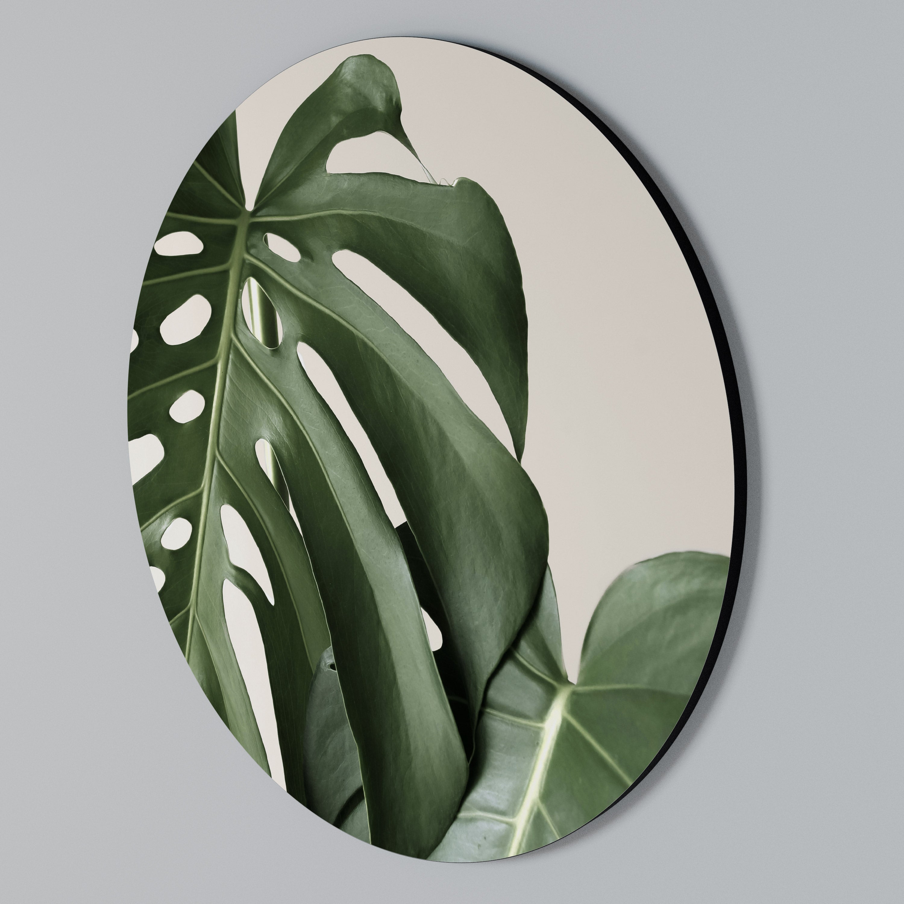 MONSTERA ACCURACY Στρογγυλός πίνακας ζωγραφικής
