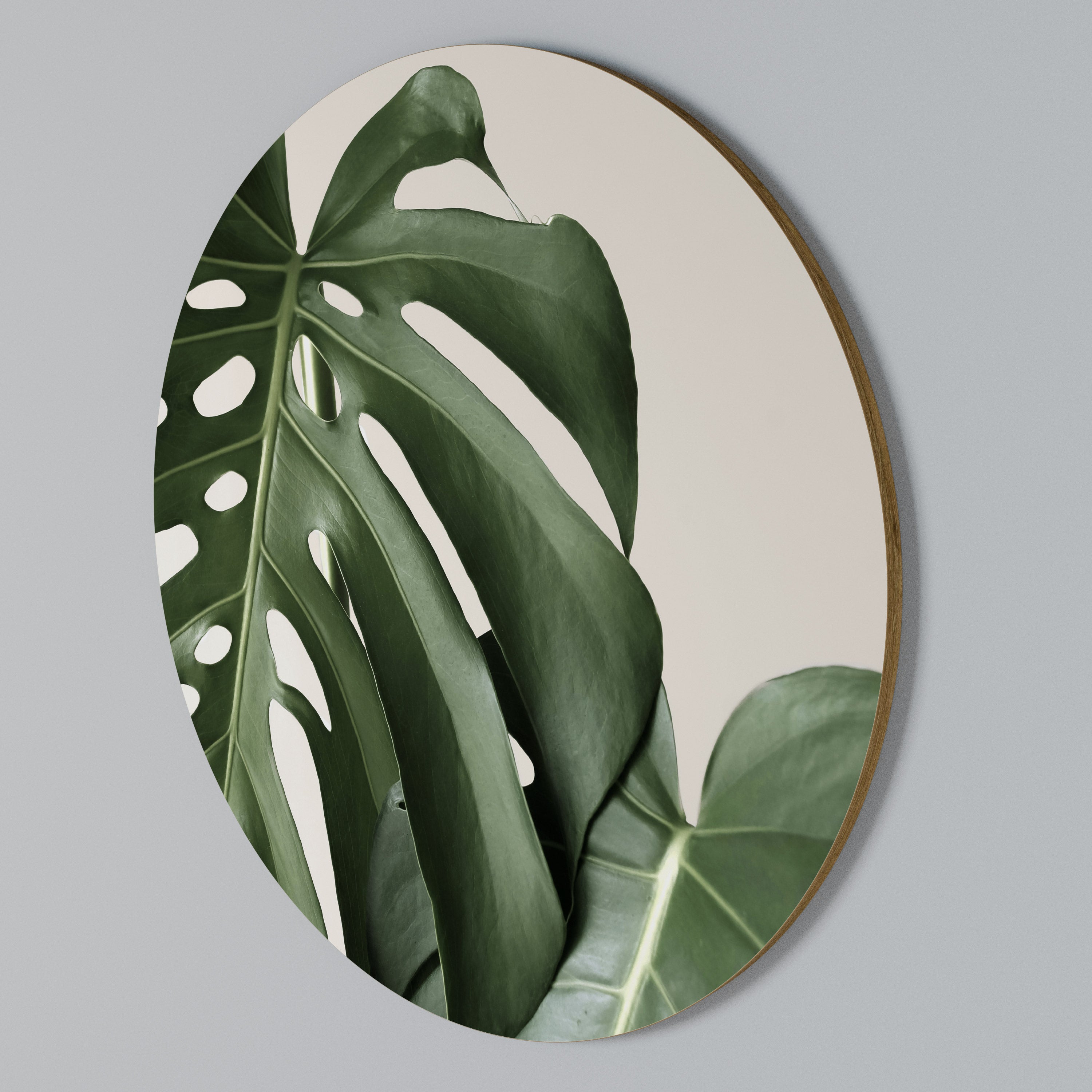 MONSTERA ACCURACY Στρογγυλός πίνακας ζωγραφικής