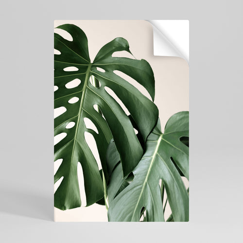MONSTERA ACCURACY Αυτοκόλλητη Αφίσα κάθετη