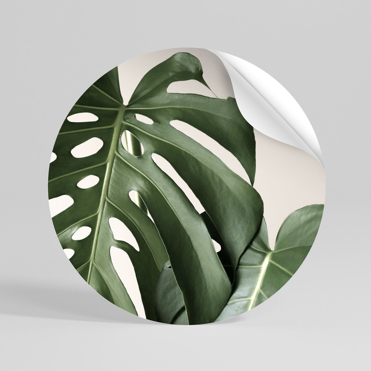 MONSTERA ACCURACY Αυτοκόλλητη Αφίσα στρογγυλή
