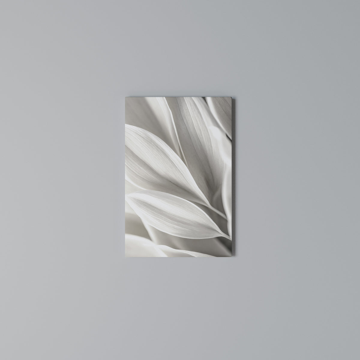 WHISPERS OF WHITE Vertical Canvas Print