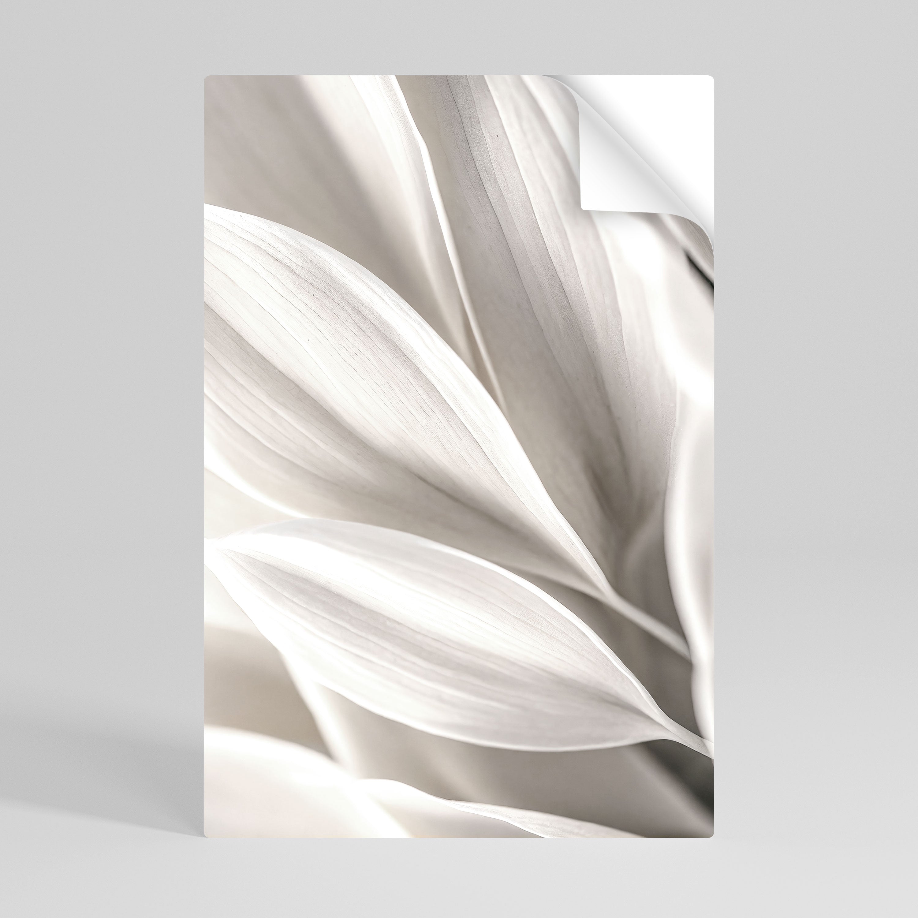 WHISPERS OF WHITE Αυτοκόλλητη Αφίσα κάθετη