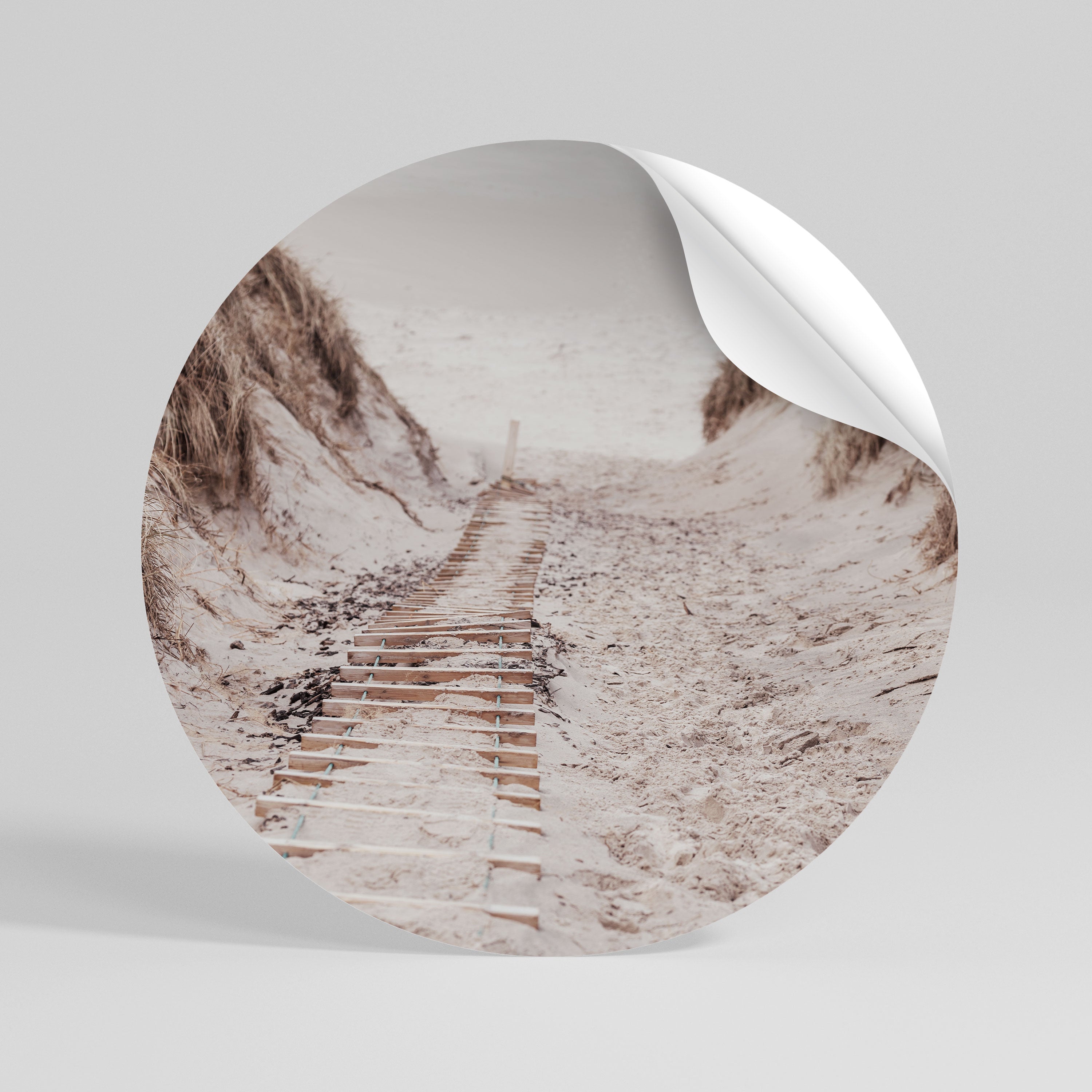 HIDDEN COASTLINE TREK Peel and Stick Round Sticker