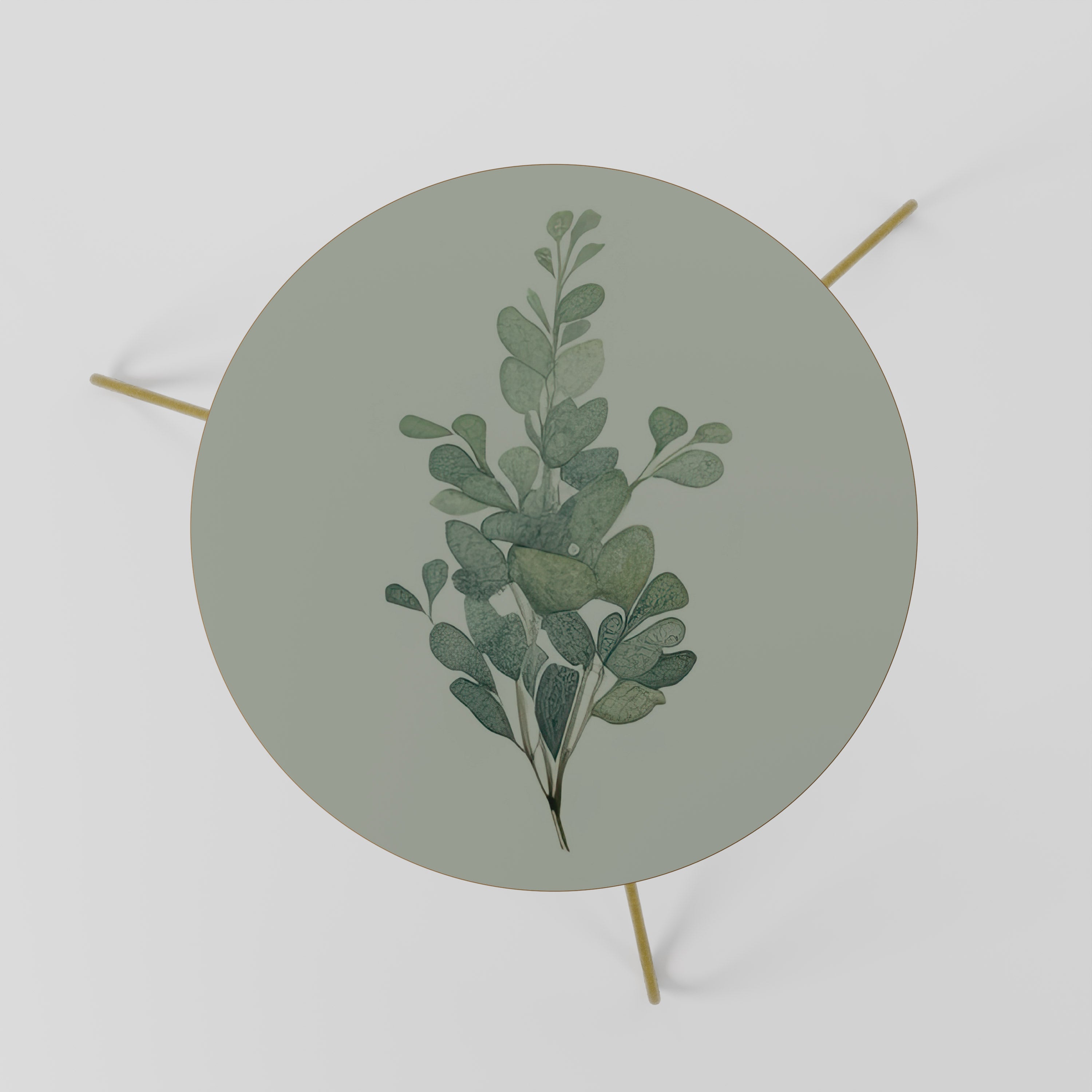 EUCALYPTUS TWIG Coffee Table 60