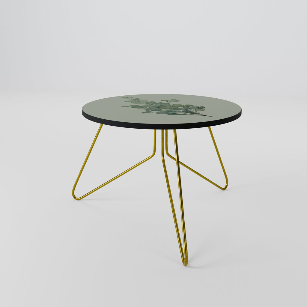 EUCALYPTUS TWIG Coffee Table 60