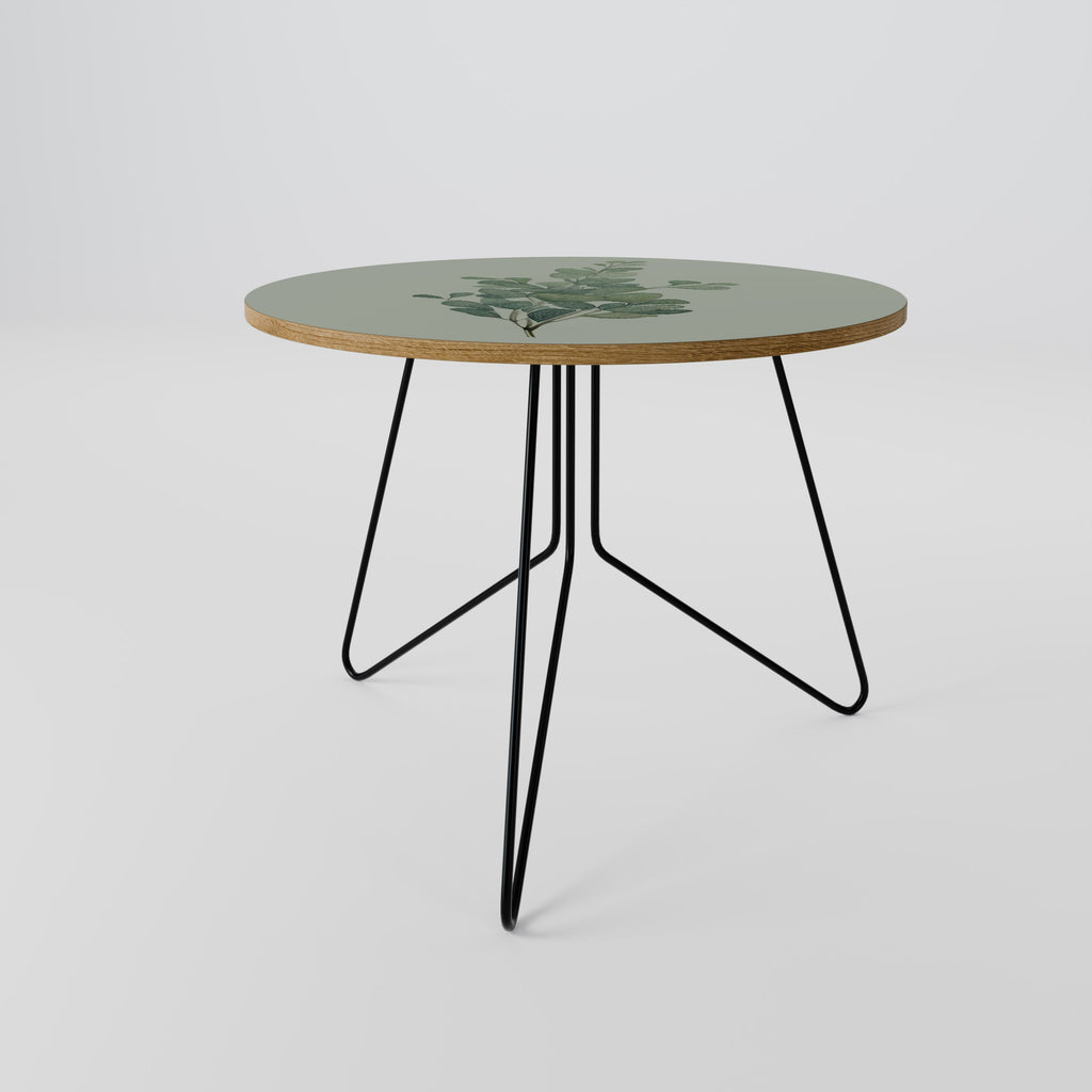 EUCALYPTUS TWIG Coffee Table 69